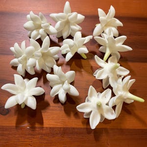 Puede incluir: Un conjunto de flores de jazmín blancas con múltiples pétalos, dispuestas sobre una superficie de madera oscura. Las flores tienen una apariencia delicada con un ligero tono verde en la base. Los pétalos están completamente abiertos.