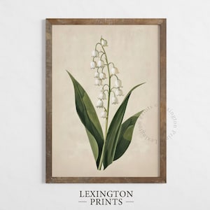 Printable Lily Of The Valley Botanical Print, Spring Wall Art Farmhouse Print Floral Print, Vintage Easter Print Spring Decor Digital 613