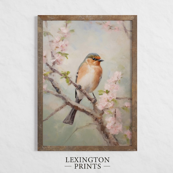 Spring Bird In Cherry Blossom Tree Spring Wall Art Vintage Spring Print Spring Decor Easter Print Cottagecore Art Bird Art Nature Print 492