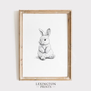 Easter Bunny Sketch Print, Rabbit PRINTABLE Wall Art, Vintage Bunny Wall Art, Minimalist Animal Sketch Nursery Wall Art Bunny Nursery 1015
