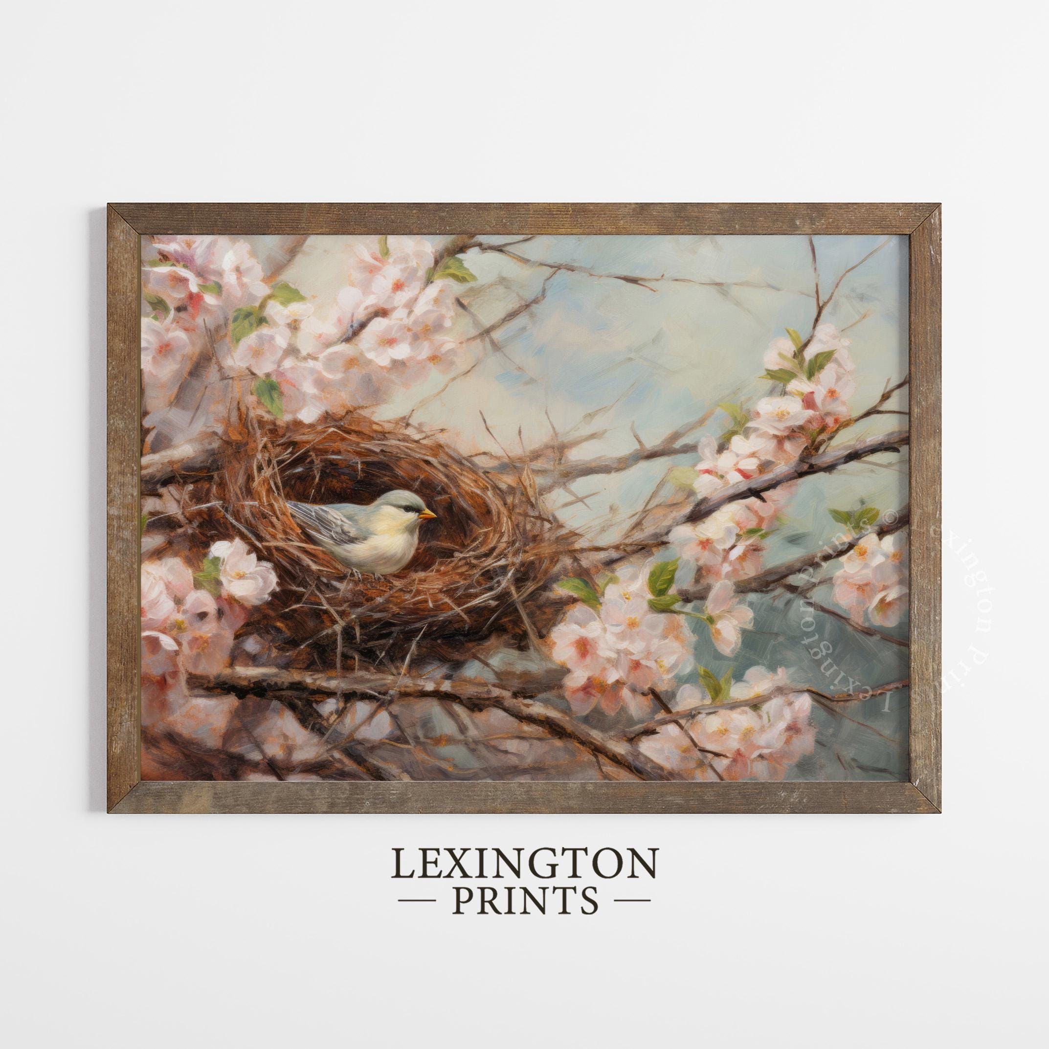 Bird Nest in Cherry Blossoms Spring Wall Art Spring Print