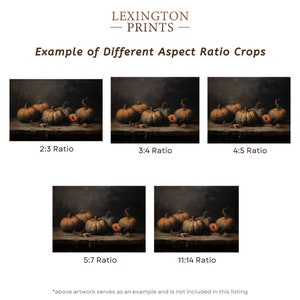 Image provides an example of how an art print looks on the different aspect ratios of 2x3, 3x4, 4x5, 5x7, and 11x14