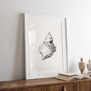 Seashell Sketch Print, Summer PRINTABLE Wall Art, Shell Wall Art ...