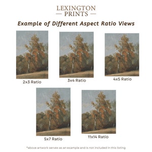 Image provides an example of how an art print looks on the different aspect ratios of 2x3, 3x4, 4x5, 5x7, and 11x14