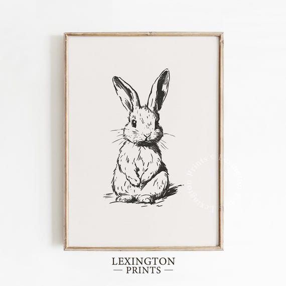 Vintage Bunny Sketch Print, Rabbit PRINTABLE Wall Art, Bunny Wall Art Drawing, Antique Nursery Decor Bunny Lover Gift Digital Download 1137