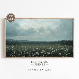 May include: A framed landscape painting depicts a field of white flowers under a stormy sky. The artwork features a wooden frame and the text "LEXINGTON - PRINTS - FRAME TV ART". The painting evokes a sense of tranquility.