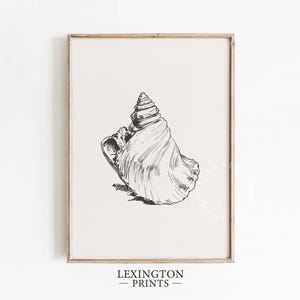 Vintage Seashell PRINTABLE Wall Art, Beach Shell Wall Art Drawing, Summer Boho Wall Art Summer Bathroom Beach Decor Digital Download 1187