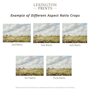 Image provides an example of how an art print looks on the different aspect ratios of 2x3, 3x4, 4x5, 5x7, and 11x14