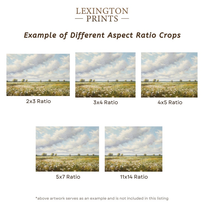 Image provides an example of how an art print looks on the different aspect ratios of 2x3, 3x4, 4x5, 5x7, and 11x14