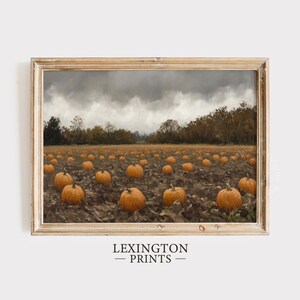 Pode incluir: Uma impressão emoldurada de um campo de abóboras sob um céu nublado. As abóboras são laranja e estão espalhadas pelo campo. A impressão está em uma moldura de madeira, com o texto "LEXINGTON - PRINTS -" na parte inferior.