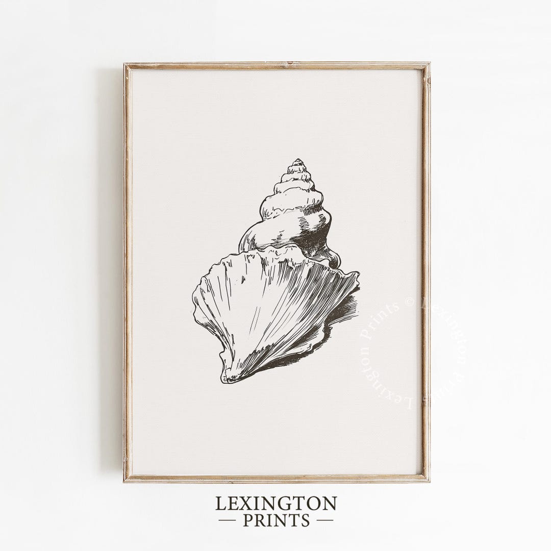 Seashell Sketch Print, Summer PRINTABLE Wall Art, Shell Wall Art ...