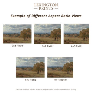 Image provides an example of how an art print looks on the different aspect ratios of 2x3, 3x4, 4x5, 5x7, and 11x14
