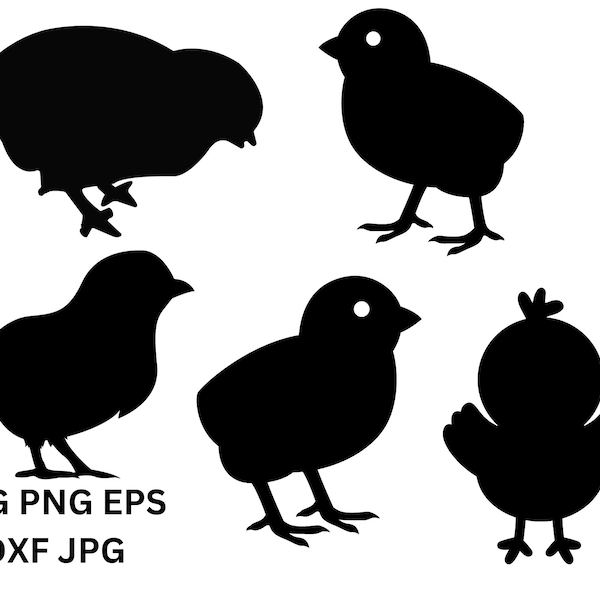 Baby Küken Silhouette SVG Vektor geschnitten Datei, Baby Küken SVG, Vogel SVG, Küken Design, Küken Clipart, Baby Huhn