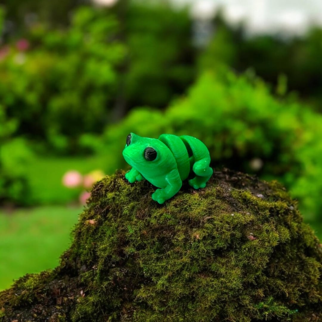 Tiny Frog Articulated 3D Printed Fidget Toy for Autism ADHD - 3D ...