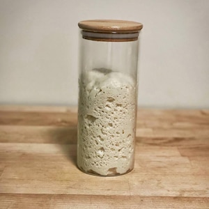 Puede incluir: Un tarro de vidrio con tapa de madera lleno de masa madre blanca y burbujeante.