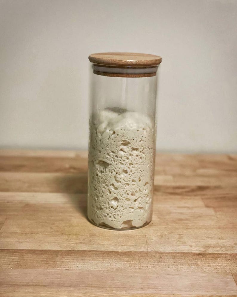 Puede incluir: Un tarro de vidrio con tapa de madera lleno de masa madre blanca y burbujeante.