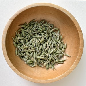 Organic Dried Milky Oats - Avena sativa tops - Bulk Herbs - Herbal Tea