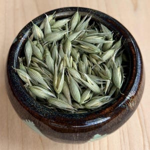 Organic Dried Milky Oats Tops – Avena Sativa - Bulk Herbs - Herbal Tea bild 1