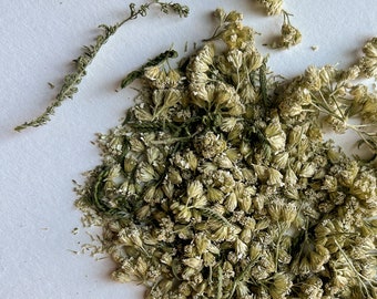 Dried Yarrow Herb – Organically Grown Achillea Millefolium Loose Leaf Tea
