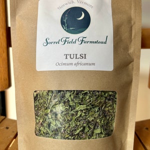 Dried Tulsi Holy Basil 8 oz. Ocimum africanum image 2