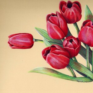 Étude florale au crayon de couleur