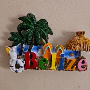 Belize Tatch hut refrigerator magnet