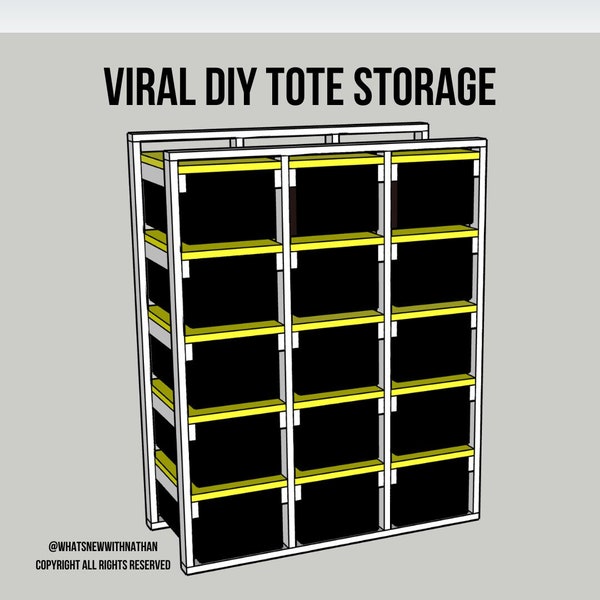 VIRAL DIY Tote Storage