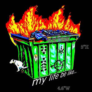 My Life's a Dumpster Fire - Outdoor Sticker/ Decal