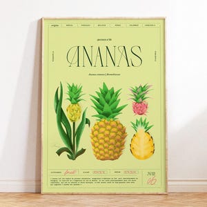 Pineapple Poster | Fruit and Vegetable Collection