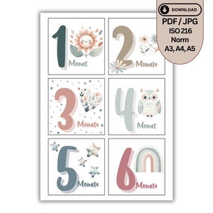 Cartes mensuelles pour bébé à télécharger numérique – 12 cartes marquantes pour la première année de bébé + carte de naissance | Modèle d'impression PDF Photos de style bohème vintage