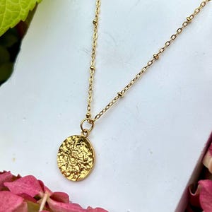 Könnte beinhalten: Goldfarbene Halskette mit strukturiertem Anhänger. Der runde Anhänger hat ein detailliertes, geprägtes Design. Die Kette hat kleine, gleichmäßig verteilte Perlen. Der Hintergrund zeigt rosa und grünes Laub und eine weiße Oberfläche.