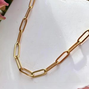 May include: A gold-colored chain necklace with elongated oval links. The necklace is displayed on a white surface, with pink and green flowers in the background. The chain is a simple, elegant design.