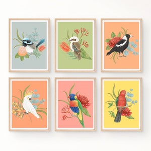 Australian Native Wildlife Bird and Native Flower Set of 6 Print / Wall Art / Digital Download Print