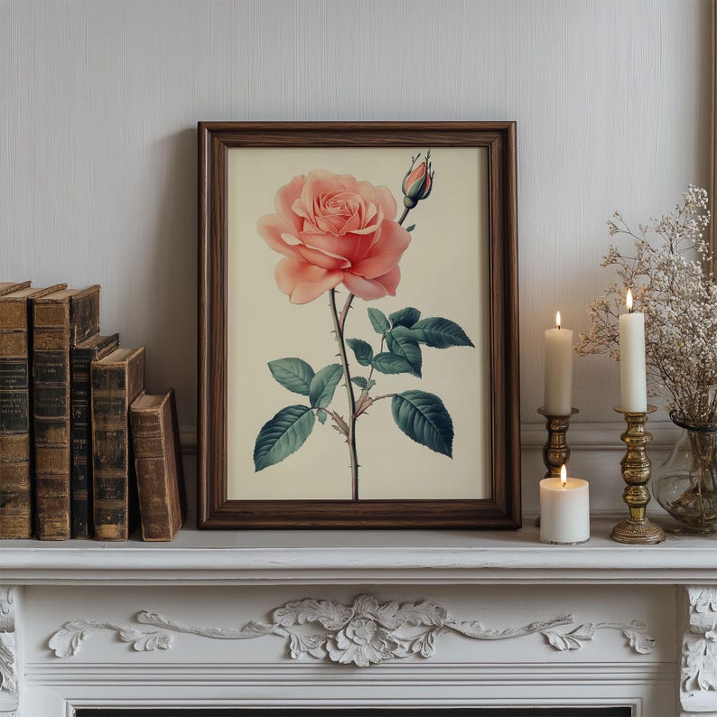 Rose — Botanical Study | Digital Download Printable Wall Art | Vintage ...