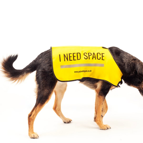 I NEED SPACE™ Dog Vest for nervous anxious dogs that need space