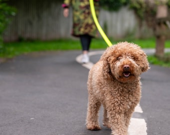 Guia de treinamento I NEED SPACE™ BioThane – 5 metros de comprimento com alça de mão para cães nervosos e ansiosos que precisam de espaço