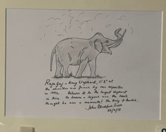 An Original Sketch By John Blashford-Snell Of Raja Gaj- King Elephant (2018) - signed and dated