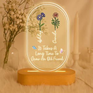 Custom Best Friend Night Light, It Takes A Long Time To Grow An Old Friend, Gift for Besties, Birthday Keepsake, Birth Flowers Night Light