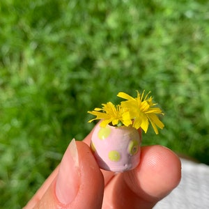 May include: A small pink ceramic vase with yellow polka dots holds a bouquet of yellow flowers. The vase is being held by a hand.