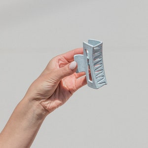 Claw Clip