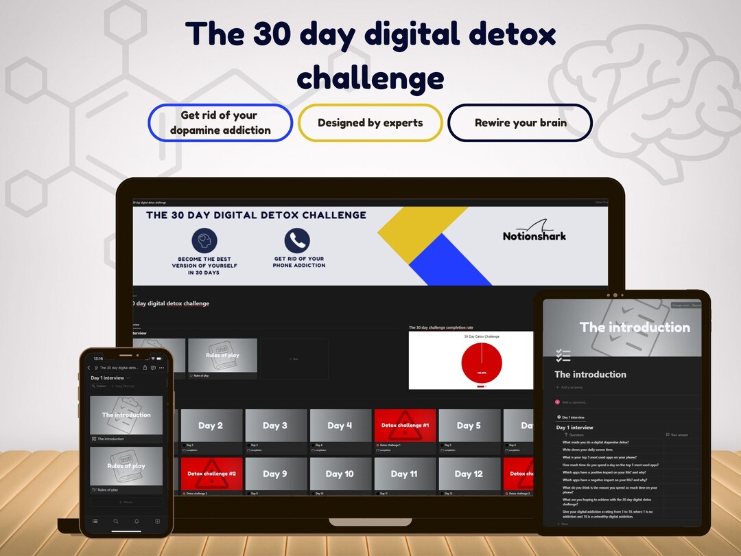 Notion 30-day Digital Detox Challenge: Habit Tracker (digital Download ...
