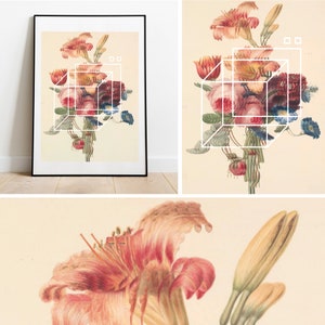 Vintage Botanical - Contemporary A3 Poster