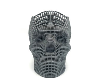 Porte-crayon Skull Pen, pinceau de maquillage, wireframe bien rangé, rangement de bureau - Choisissez la couleur