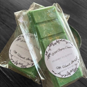 Minze & Eukalyptus Duftkerze l kleines Geschenk l Duftkerze l Duftkerze l Duftkerze l Duftöle z