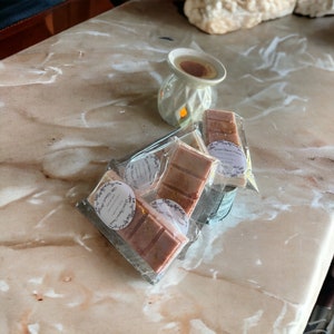 Nag Champa k Wachs schmelzen Snap Bar l kleines Geschenk l duftendes Wachs schmelzen l Wachs schmelzen für Stövchen