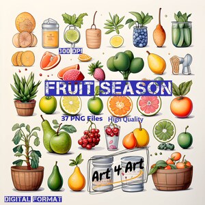 Temporada de 37 frutas, clipart aquarela, cores brilhantes, cartões, personalização de convites, arquivos PNG digitais, projetos, uso comercial.