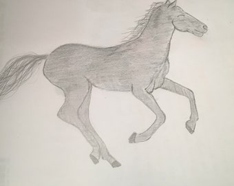 Croquis/dessin de cheval personnalisé