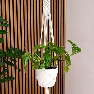 Könnte beinhalten: Ein weißer Makramee-Pflanzenaufhänger mit einem Holzring oben, der einen weißen Keramiktopf mit einer grünen Pflanze hält. Die Pflanze hat große, einzigartig geformte Blätter. Der Hintergrund zeigt eine Holzlattenwand.