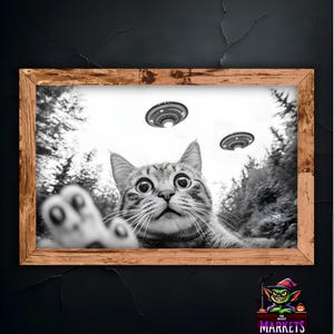 Op de afbeelding: Een zwart-witfoto van een kat die omhoog kijkt naar twee vliegende schotels in de lucht. De ogen van de kat zijn wijd open van verbazing en zijn poot is uitgestoken.