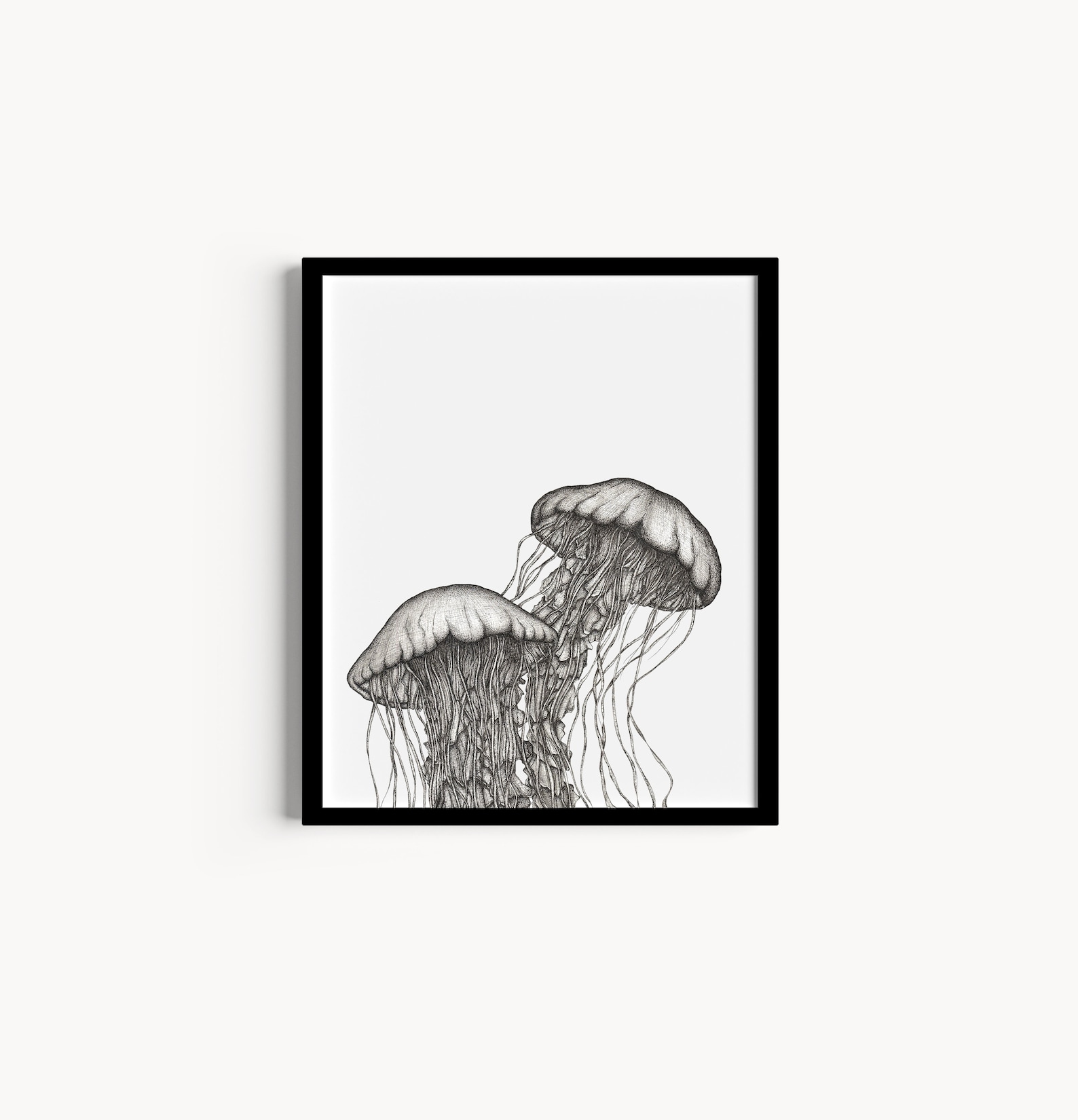 Ocean Animal Prints. Jellyfish, Lobster, Corals Wall Art main image 0